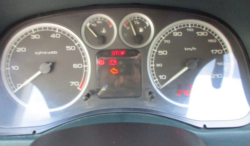 Peugeot 307 2002 full